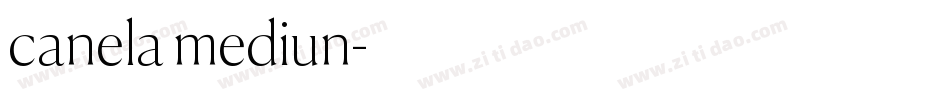 canela mediun字体转换